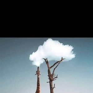 Meet your Posher, Karmaker